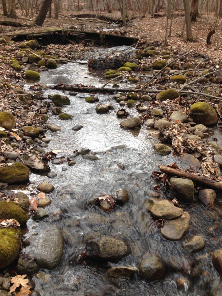 An image of a stream