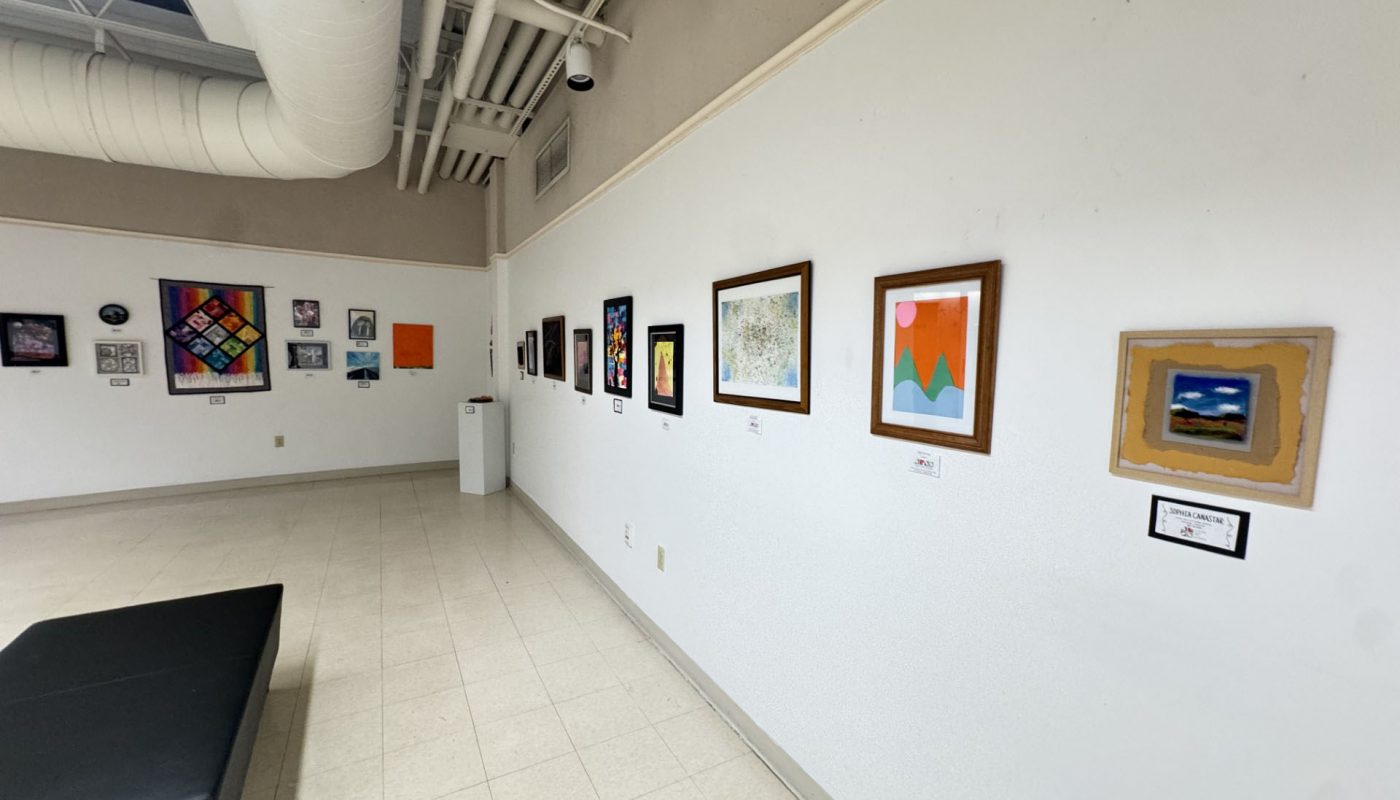 Reflections Art Show Gallery