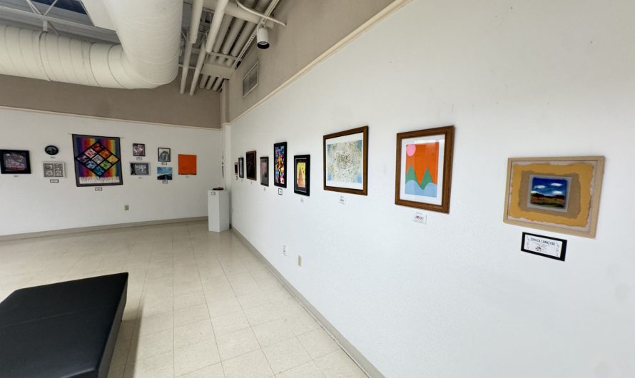 Reflections Art Show Showcases Herkimer County Talent