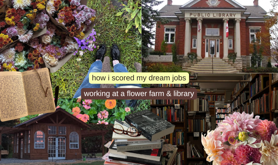 The Library Diaries: How I Scored My Dream Jobs