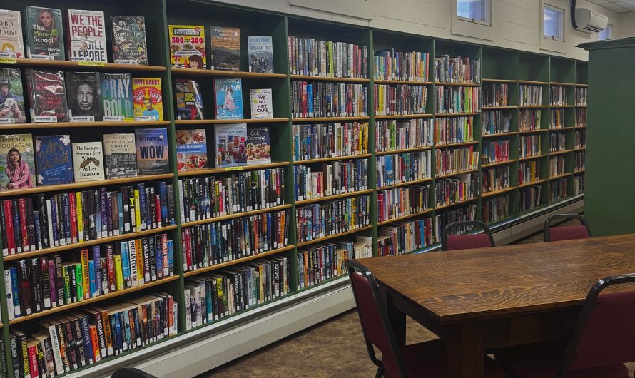 The Library Diaries: Week 1