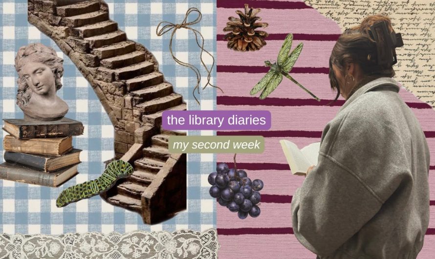 The Library Diaries: Week 3