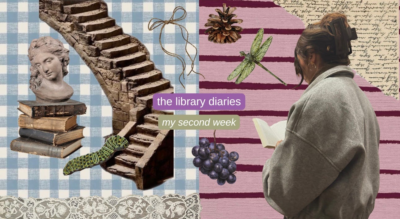 "The Library Diaries: The Second Week" text over colorful collage