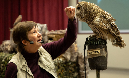 Cindy Page points out features of the Barn Owl during her presentation on Monday. Photo credit: Scott Kinville.