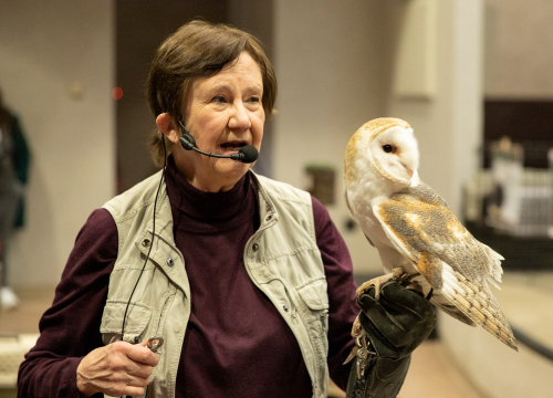 Cindy Page of the Page Wildlife Center with a Barn Owl. Photo credit: Scott Kinville.